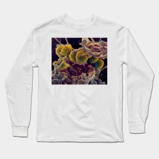 MRSA ingestion by white blood cell, SEM (C021/7464) Long Sleeve T-Shirt